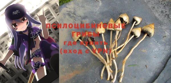 сатива Богданович